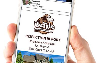 Home Inspection Reports