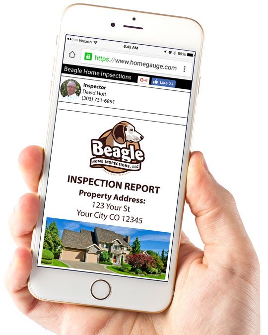 Home Inspection Reports